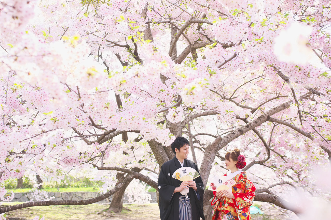 桜満開の前撮り写真