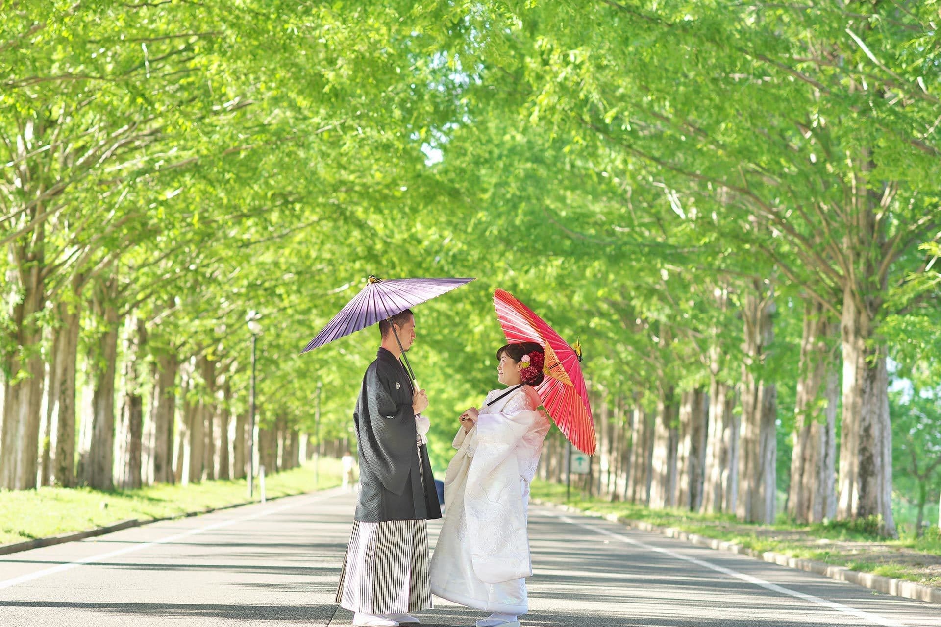 メタセコイア記念写真