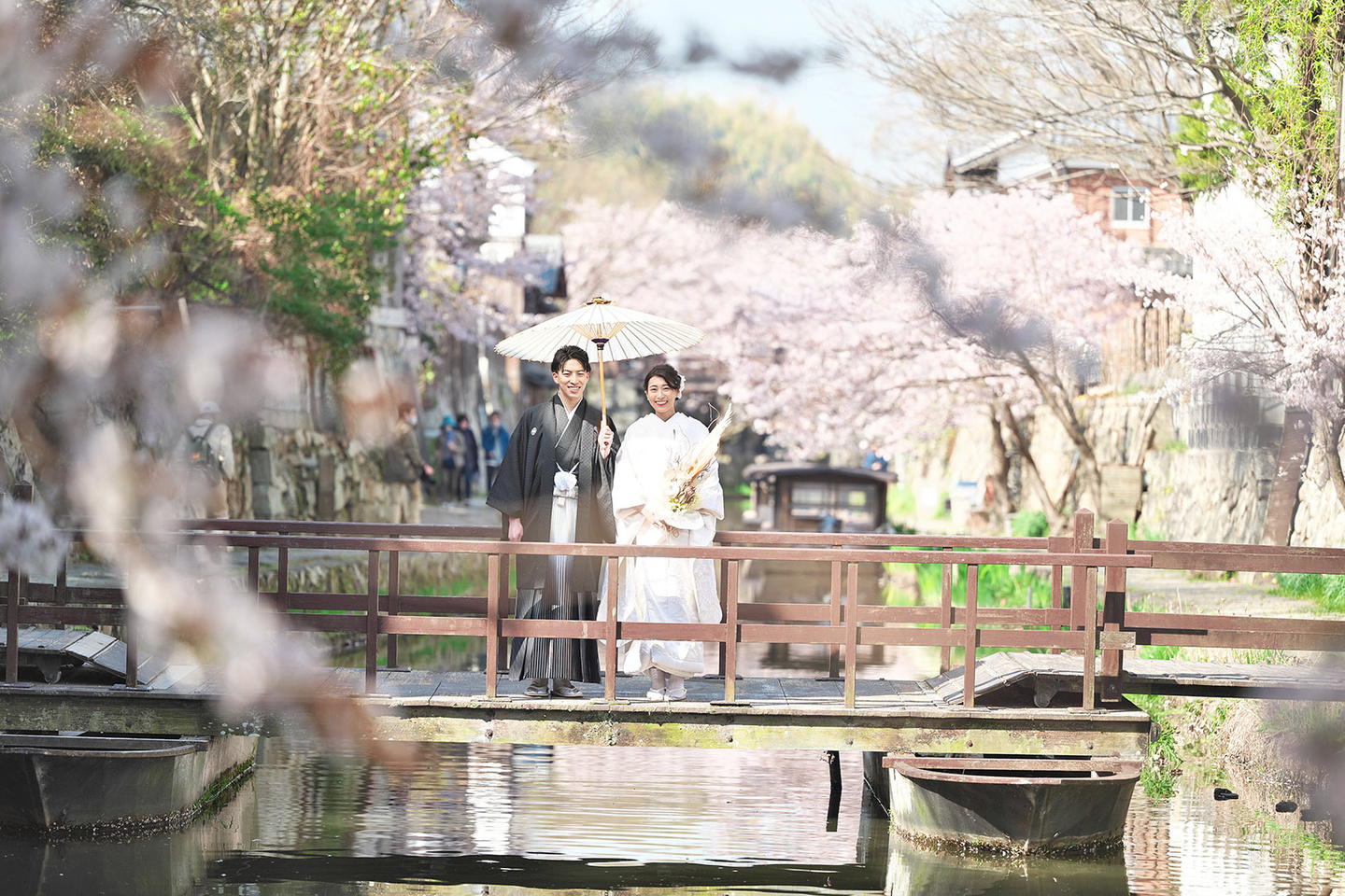 春の桜の八幡堀