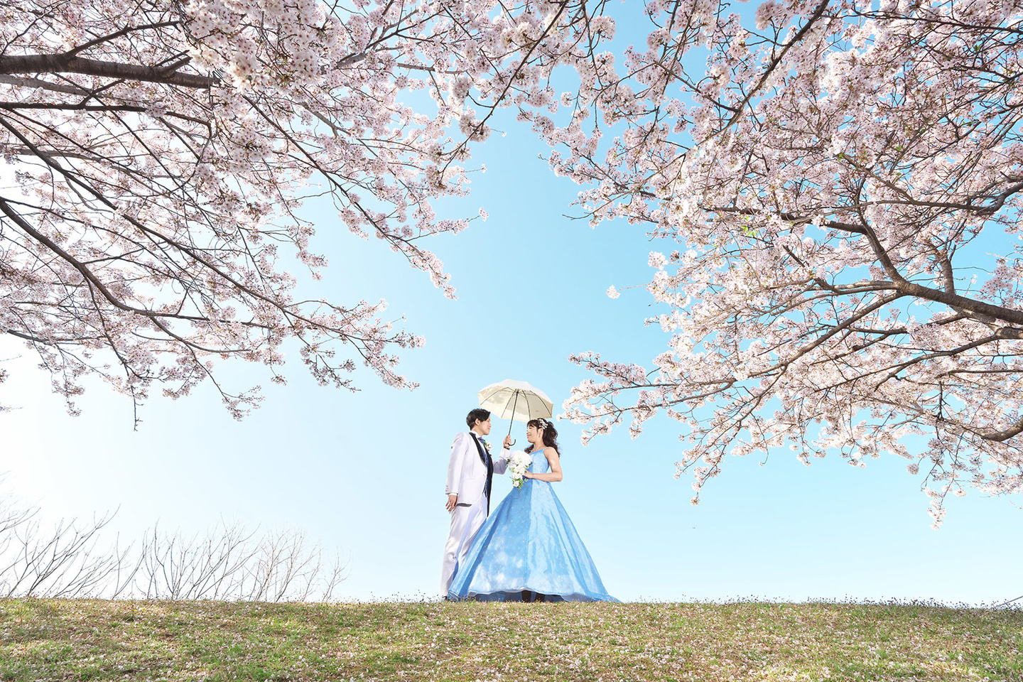 矢橋帰帆島桜の時期の記念写真