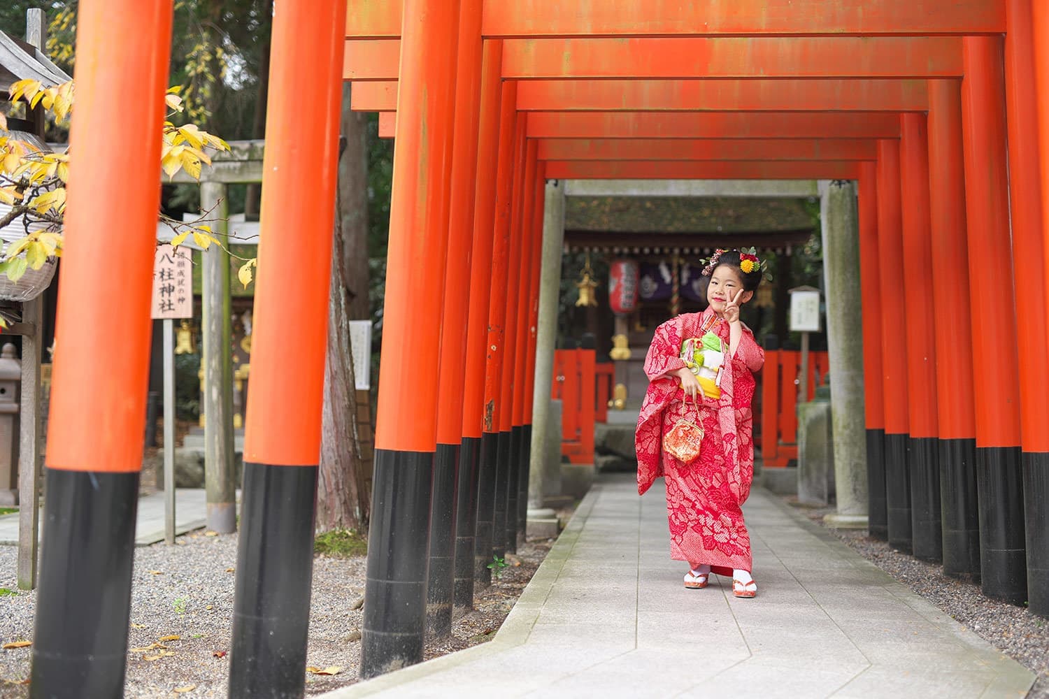 七五三記念写真撮影