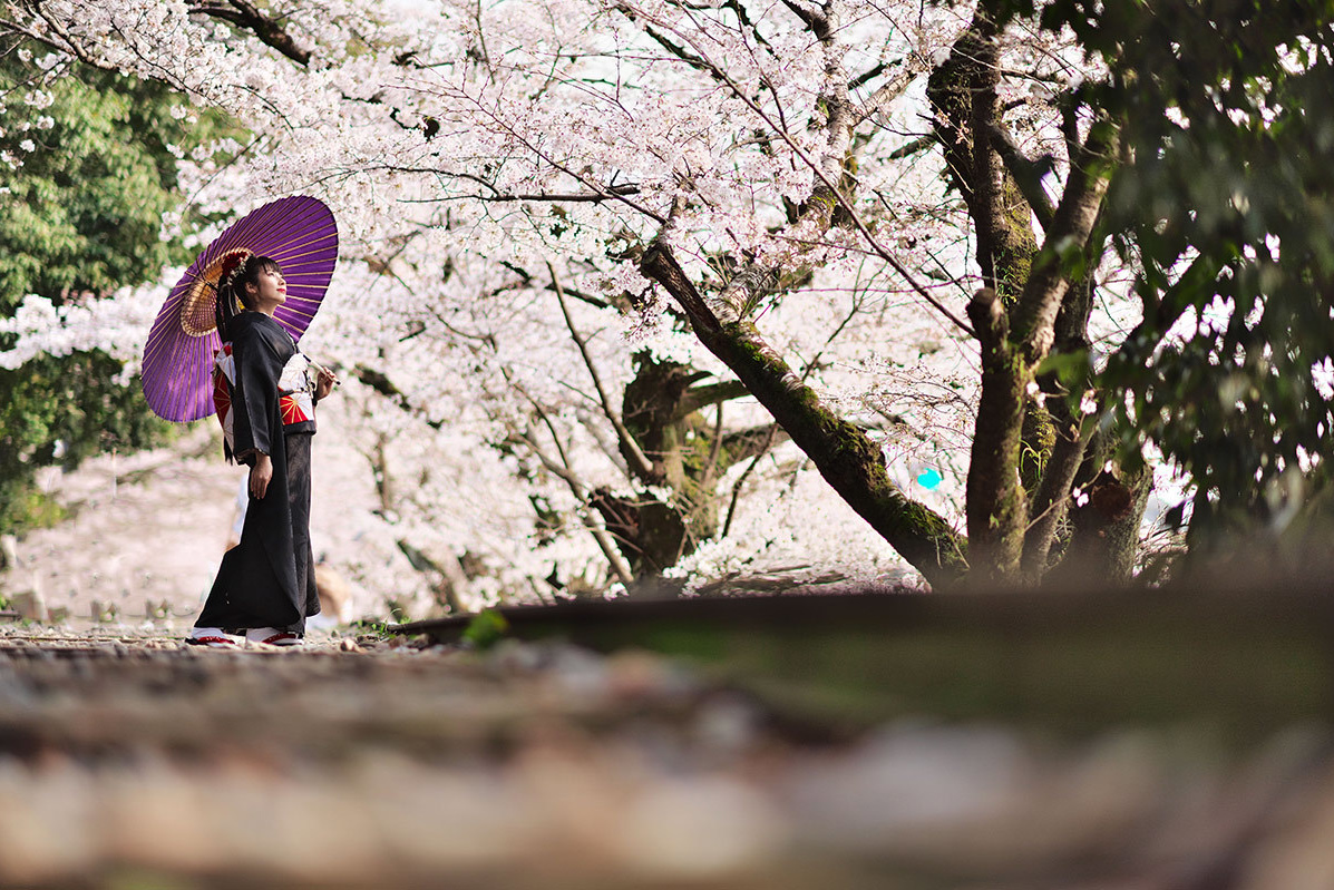 成人式前撮り写真撮影土日