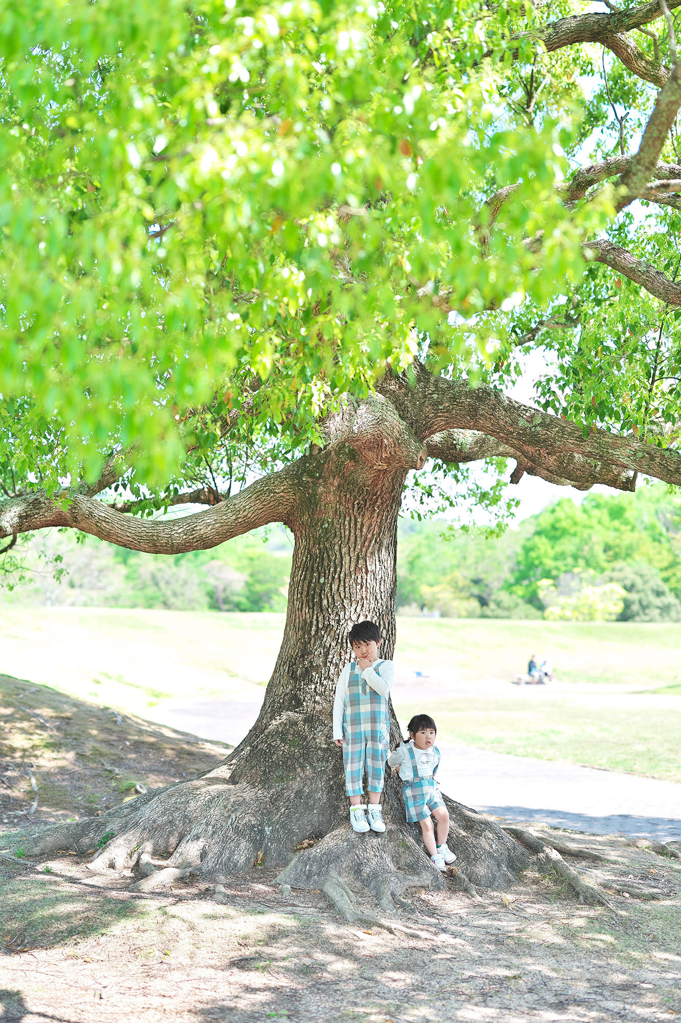 緑の公園での家族写真
