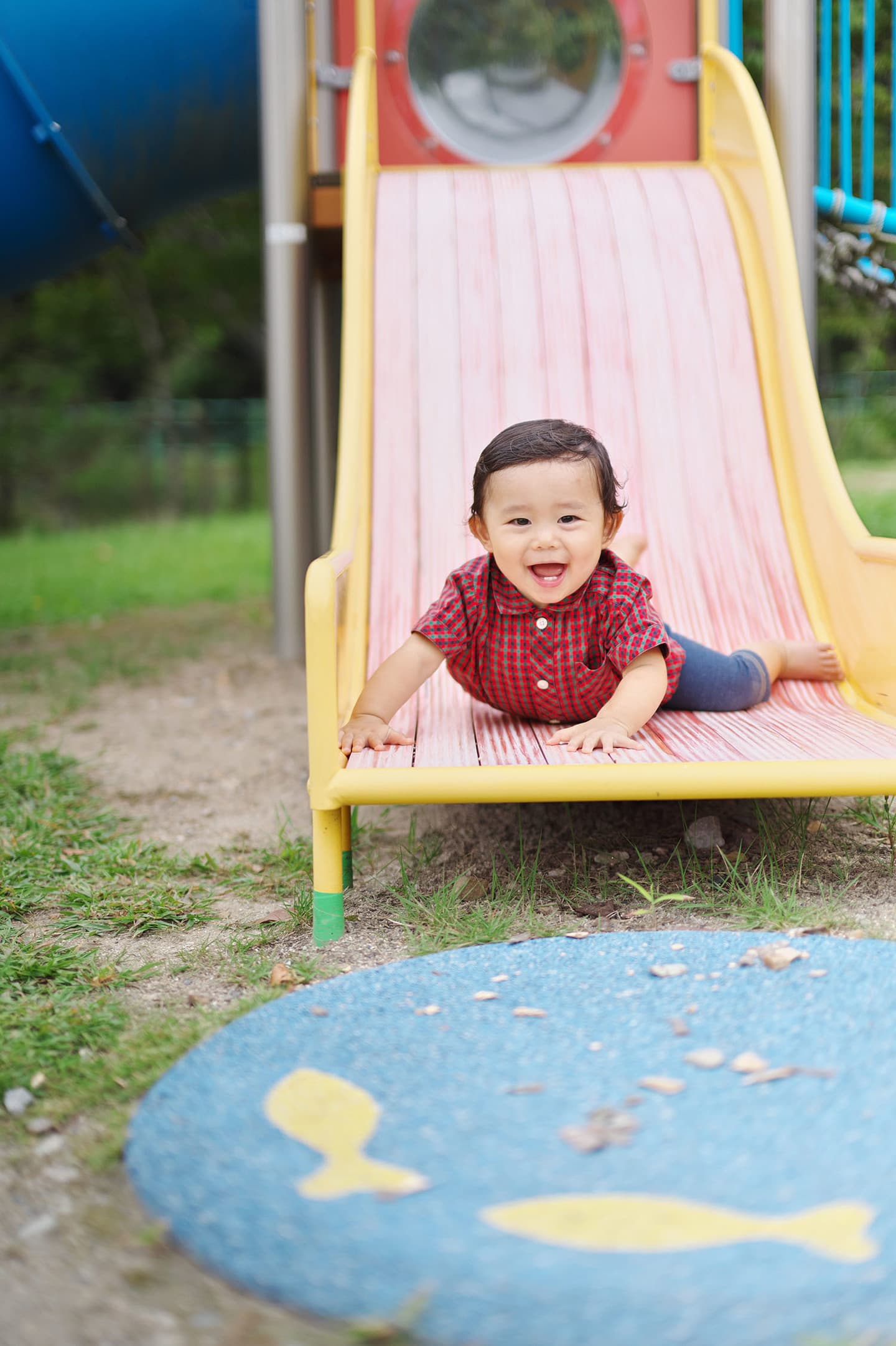 一歳の男の子の記念写真